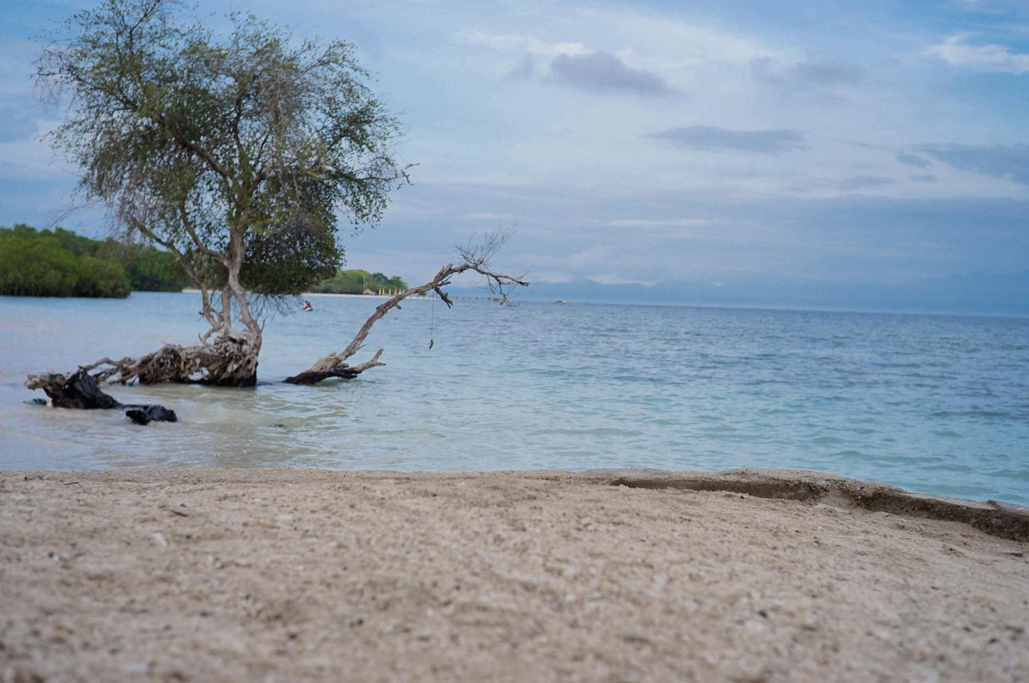 Yut'S Inn Flower Paradise Gili Gede Dış mekan fotoğraf
